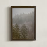 "Pine Forest" - Art Print in White by Crystal Lynn Collins - Framed