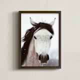 "Winter Horse" - Art Print in white by ALICIA BOCK - Framed