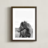 "A Horse and the Wind" - Art Print in Icland wind by Ilze Lucero - Framed