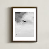"Soaring Trio 3" - Art Print in Charcoal by Three Wings North - Framed