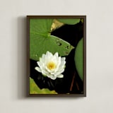 "Water Whimsy" - Art Print in Lily by Three Wings North - Framed