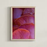 "Pink Oyster Mushrooms" - Art Print in Dreamy Pink Violet by Elena Kulikova - Framed