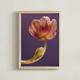 "Delicate Tulip" - Art Print in Purple Plum by Elena Kulikova - Framed