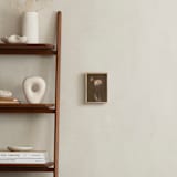 "Single Dahlia Flower" - Art Print in Earth by Sarah Hart Morgan - In a Room