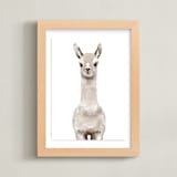 "Baby Animal Llama" - Art Print in Milky foam by Cass Loh - Framed