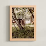 "Timid Beauty" - Art Print in Almond Butter by Hollie Renner Photography - Framed