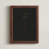 "Seedling Elm II" - Art Print in Deep Elm by Andrew McClintock - Framed