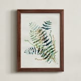 "Kimberly Queen Fern Leaves" - Art Print in KISMET by Aspa Gika - Framed