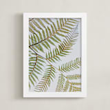 "Synthesis" - Art Print in Fern Green by Shannon Terrell - Framed