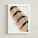"Feather Study I" - Art Print in Auburn by Becca Beers - Framed