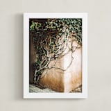 "Hold On" - Art Print in ivy by Janet Cruz - Framed