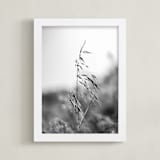 "Dancing grass" - Art Print in Mist by Magdalena Kucova - Framed