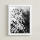 "Dancing grass II" - Art Print in Shadow by Magdalena Kucova - Framed