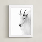 "Fierce" - Art Print in Mountain Granite by Jamie Lollback - Framed