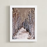 "Aspen Grove" - Art Print in Birch White by Emily Magone - Framed