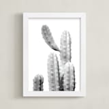 "Moorten Cactus Study 1" - Art Print in Silver Grey by Lisa Sundin - Framed