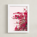 "Bright Bougainvillea" - Art Print in Bright Pink by The One With Wanderlust - Framed