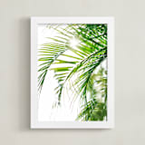 "Palm 3" - Art Print in color by Kamala Nahas - Framed