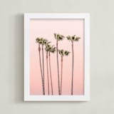 "Seven Palmtrees" - Art Print in Warm rosy sunset by Lisa Sundin - Framed