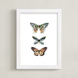 "Butterfly Colorful Watercolors" - Art Print in Butterfly wing black by Lauren Rogoff - Framed