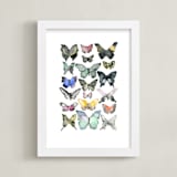 "Watercolor Butterfly Collection" - Art Print in Lush Meadow by Heidi Lowell - Framed