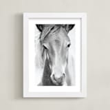 "Wild and free." - Art Print in Charcoal by Dawn Smith - Framed