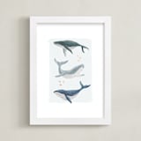 "Ocean Whales" - Art Print in Ocean Blue by Alice Nelen - Framed