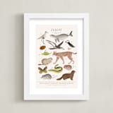 "Europe, endangered animals" - Art Print in Ivory by Sabrin Deirani - Framed