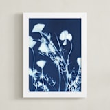 "Eschscholzia californica" - Art Print in prussian blue by raven erebus - Framed