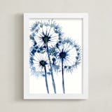 "Ethereal Dandelions" - Art Print in indigio by Amelia Gluba - Framed