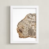 "Slice From the Past I" - Art Print in Ancient wood by Ilze Lucero - Framed