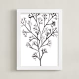 "Sea Botanicals VII" - Art Print in Ash by Luz Alliati - Framed