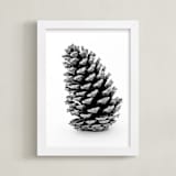 "Tall Pine Cone" - Art Print in grey by Alexis Arnold - Framed