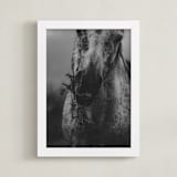 "Through the Thistle" - Art Print in Smolder Black by Hollie Renner Photography - Framed