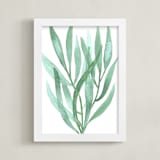 "Sea Botanicals III" - Art Print in Jade by Luz Alliati - Framed