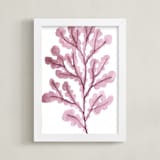 "Sea Botanicals V" - Art Print in Rosewood by Luz Alliati - Framed
