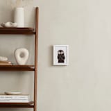 "Baby Animal Sea Otter" - Art Print in Coffee by Cass Loh - In a Room