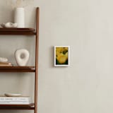 "Yellow Tulip" - Art Print in tulip yellow by Sea and Sky - In a Room