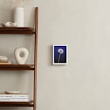"Dandy Stack" - Art Print in Royal Dandelion by Jeff Preuss - In a Room