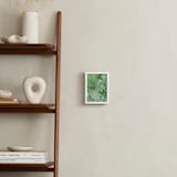 "Yucatan I" - Art Print in Tropical Green by Lindsay Ferraris Photography - In a Room
