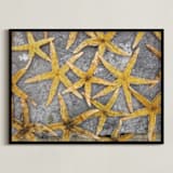 "sea stars" - Art Print in ochre by Julie Hebert - Framed