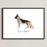 "German Shepherd" - Art Print in Brown by Megan Kelso - Framed