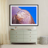 "Napping" - Art Print in Grayish  by NSMARK - In a Room
