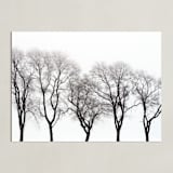 "abstract trees" - Art Print in ink by Baumbirdy - Unframed