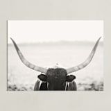 "Staredown" - Art Print in White by Amy Carroll - Unframed