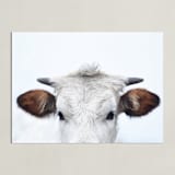 "Wee Staredown" - Art Print in Farm by Amy Carroll - Unframed