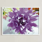 "Watercolor Dahlia" - Art Print in Watercolor Purple by A MAZ Design - Framed