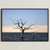 "Life cycle 1" - Art Print in Blue by Eliane Lamb - Framed