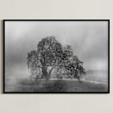 "in the rain" - Art Print in Stormy by Crystal Lynn Collins - Framed