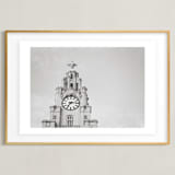 "liver bird" - Art Print in black and white by Stacy Cooke - Framed